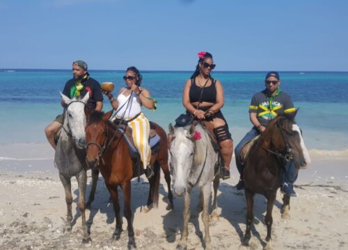 Best Of Ocho Rios Day Tours from Montego Bay